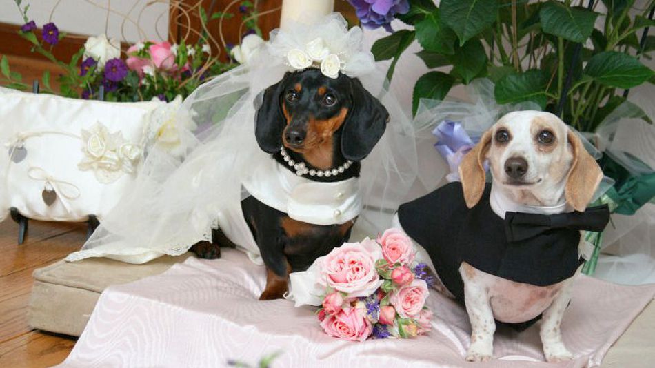 10 things to do on what would have been your wedding day
