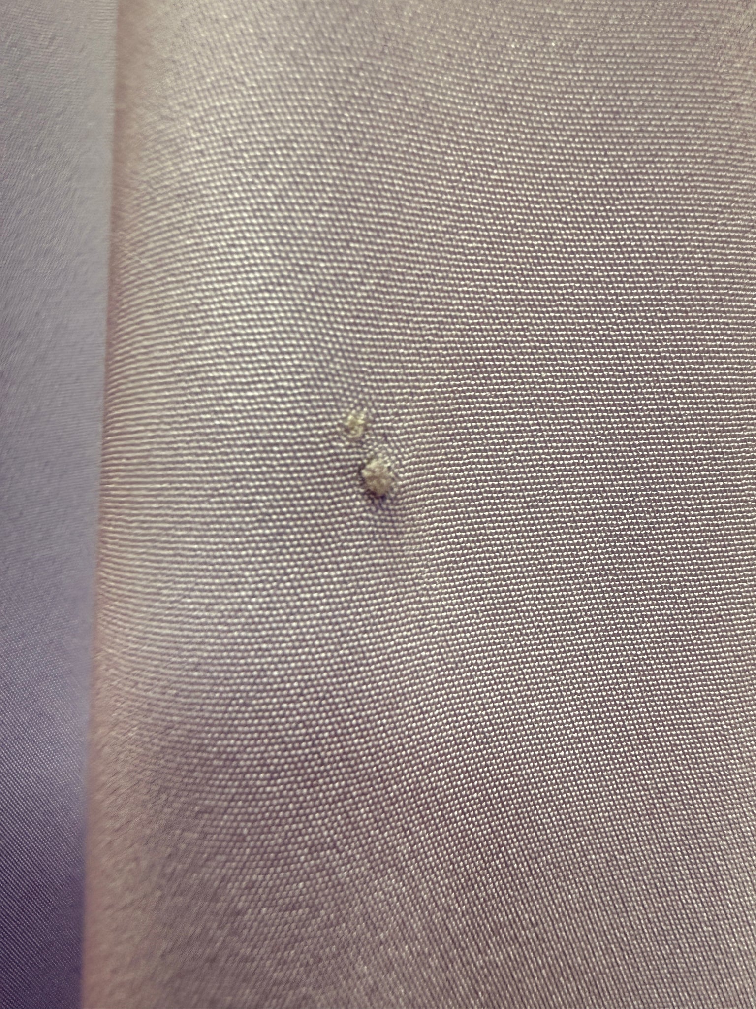 Pulp Fiction Violet sample size 22